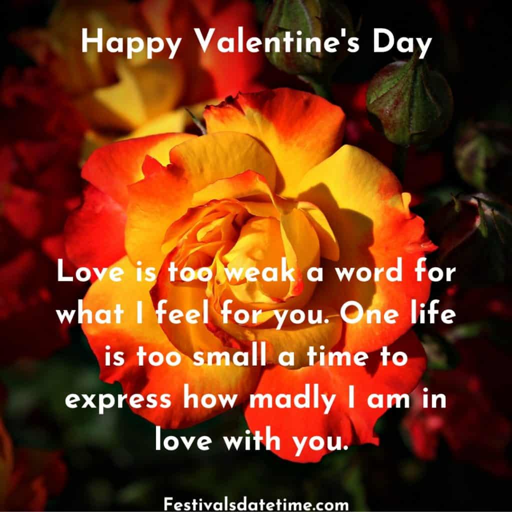 Valentines Day 2020 Quotes & Greetings | Festivals Date & Time