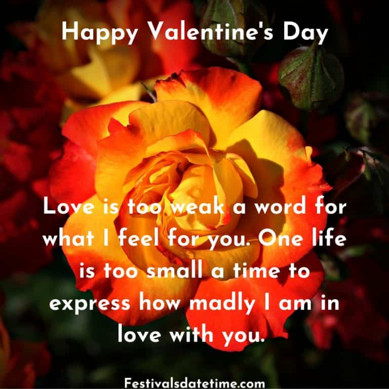 Valentines Day 2020 Quotes & Greetings | Festivals Date & Time