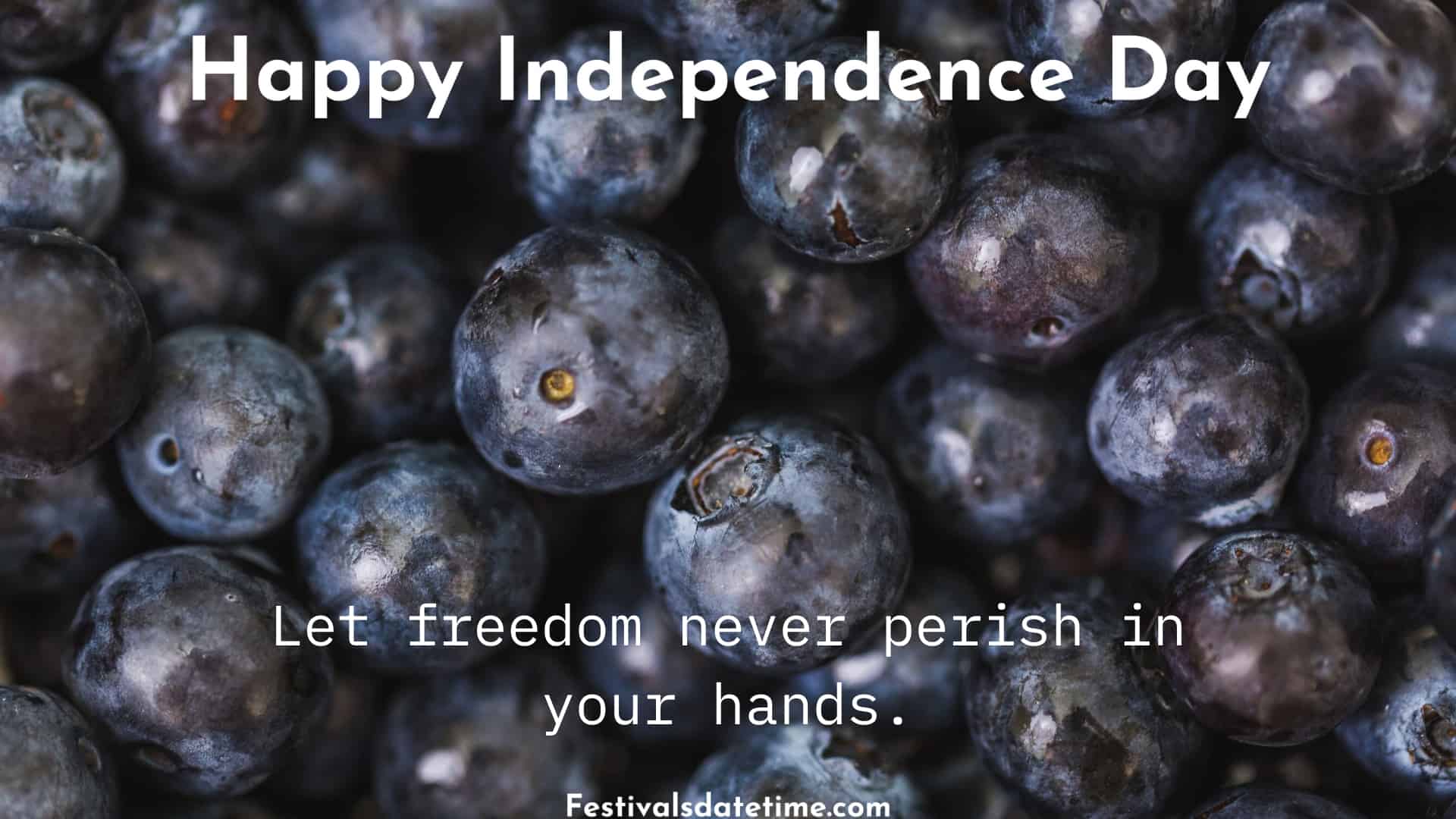 quotes_on_independence_day_in_english